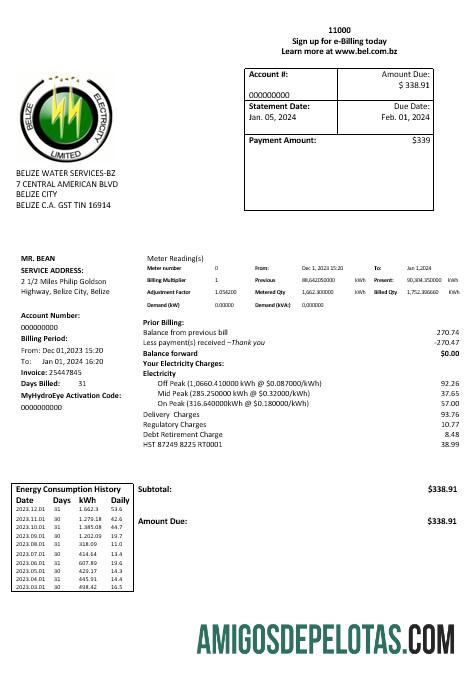 imprimível Modelo de conta de serviços públicos de eletricidade limitada da Belize Electricity em formato Word e PDF